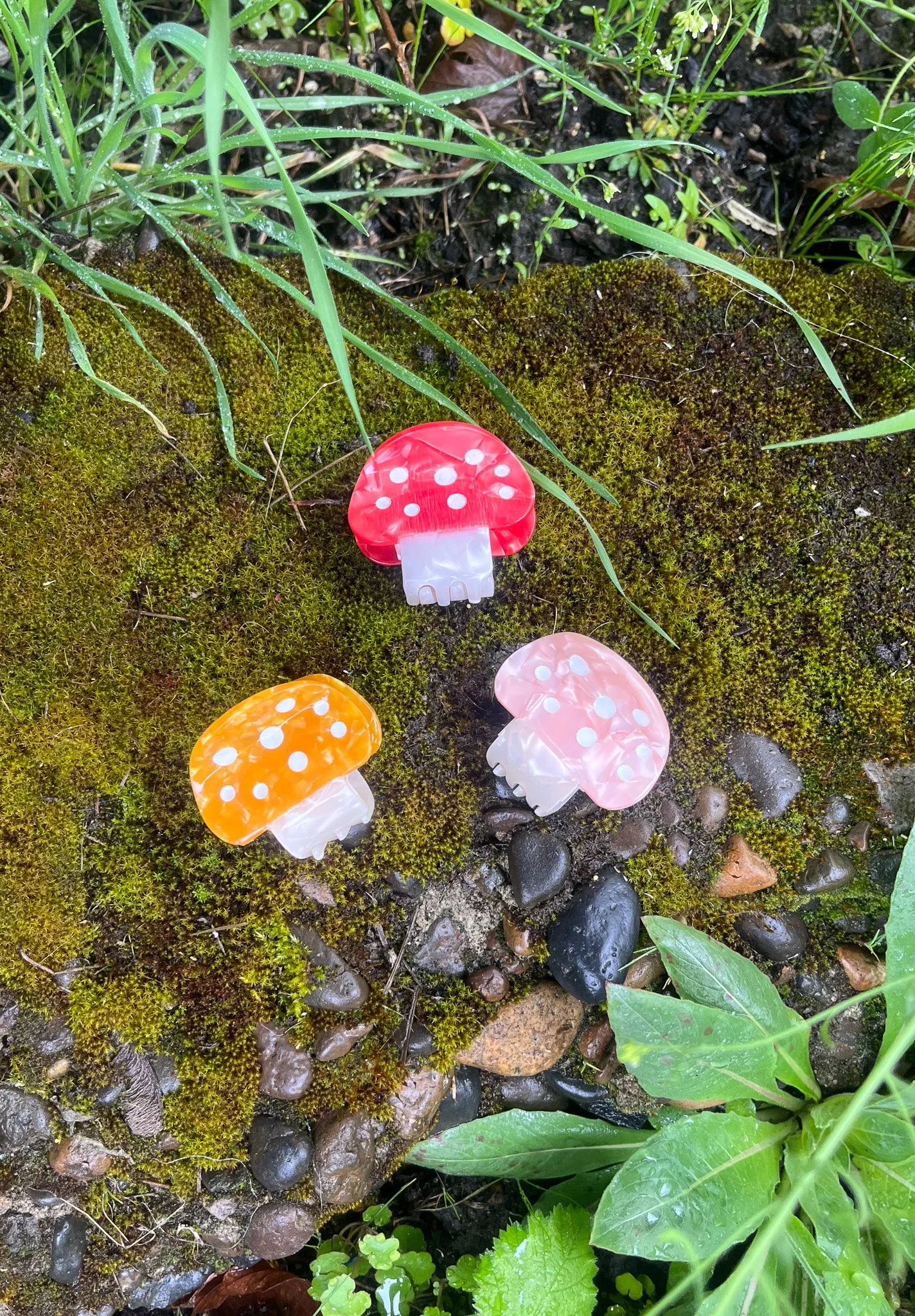 Mushroom Hair Claw