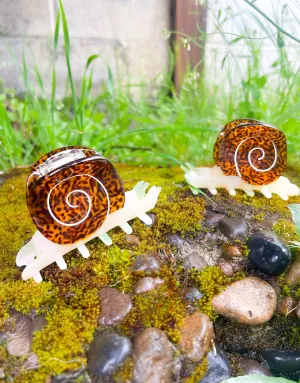 Snail Hair Claw